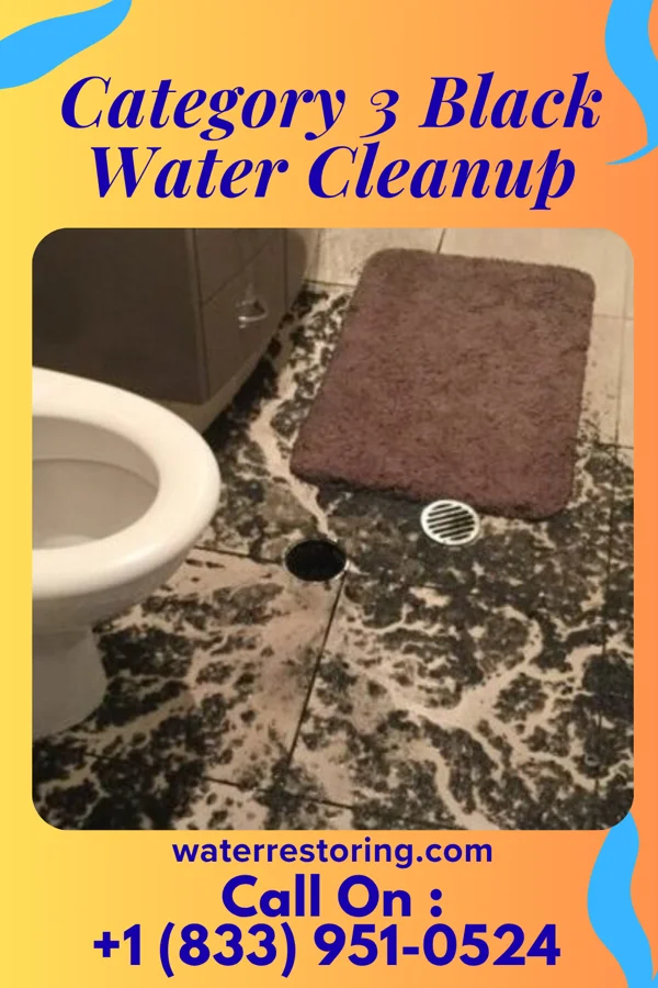 Category 3 Black Water Cleanup in Venice Gardens, FL