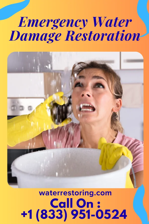 Emergency Water Damage Restoration in Venice Gardens, FL